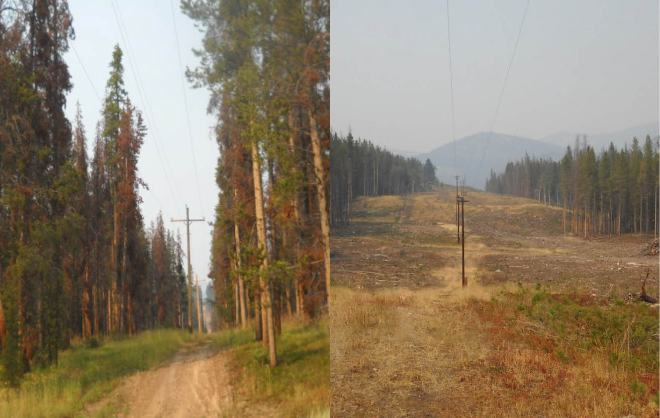 Two photos show how we clear our rights of way.